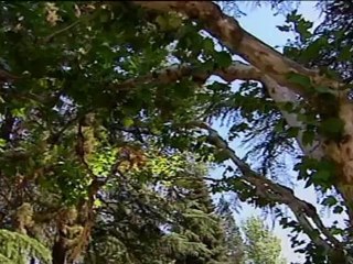 Rajoy anuncia que las plusvalías por invertir en los mercados tributarán en su primer año según el IRPF