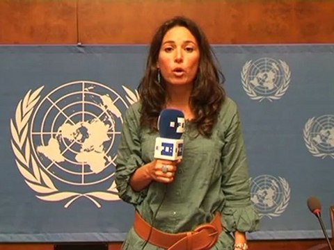 Informe a cámara: Una comisión confirma que los yihadistas combaten en Siria