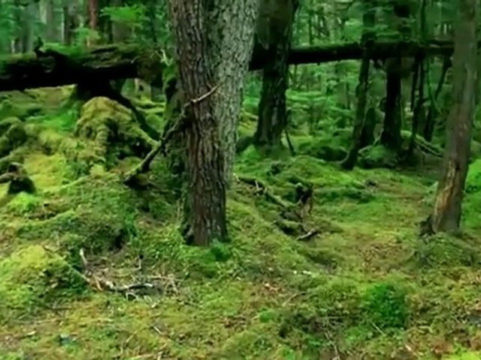 Wonderful Chill Out Music - Life is a Dream