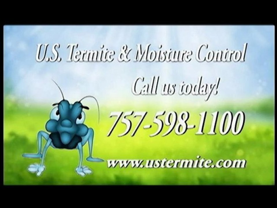 Pest Elimination Chesapeake - US Termite