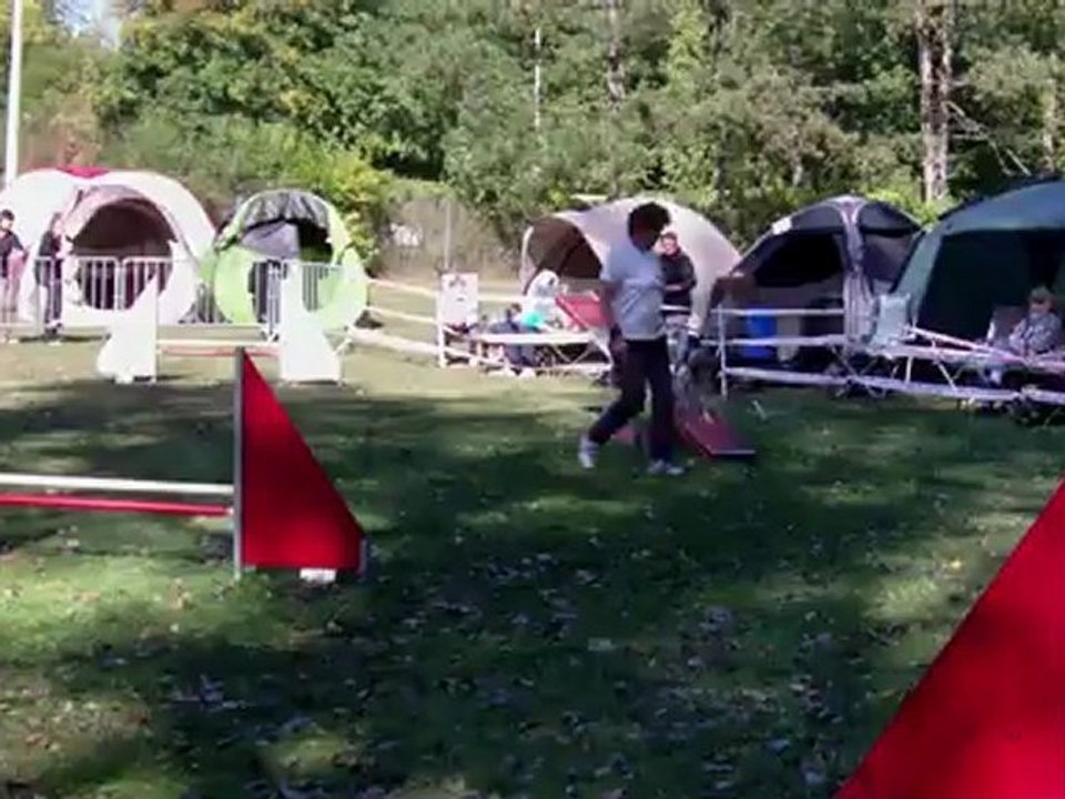 E'Lia, epagneul breton,agility,sarreguemines 2012,GPF