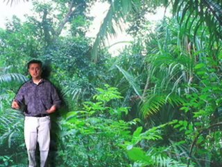 Please Dont Eat the Animals