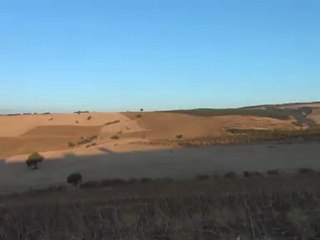 gümüş ferma