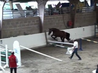 Very de la Cote, Auvers local 3ans 2012