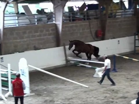 Very de la Cote, Auvers local 3ans 2012