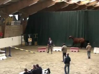 Versace de la Cote local 3ans auvers 2012