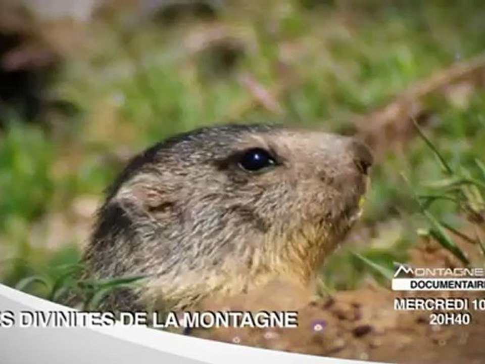 BA Les Divinités De La Montagne Date