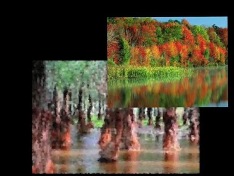 danubio azul, strauss