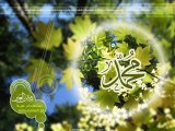 Fasih-ud-Din Soharwardi - Aey Ishq-e-Nabi