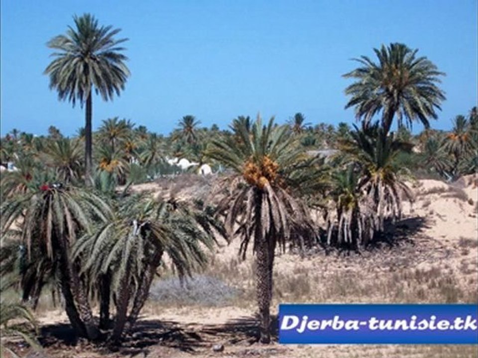 Djerba