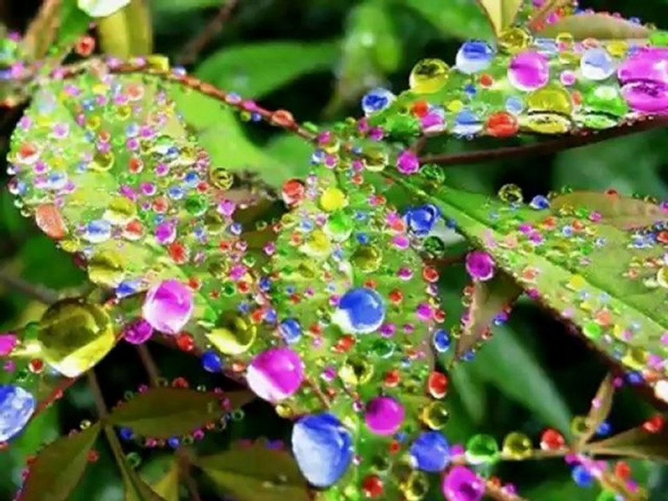 GRUP ABDAL-EĞİN TÜRKÜSÜ