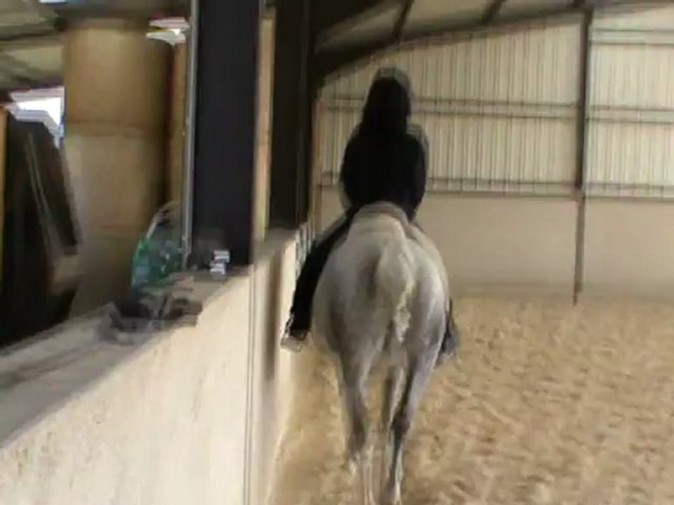 M2U04567 main droite, trot d'école et appuyer. épaule en dedans. appuyers sur la ligne du milieu