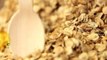 Kokopelli, semences paysannes, semences d’autonomie. Quinoa capsule alternative #2