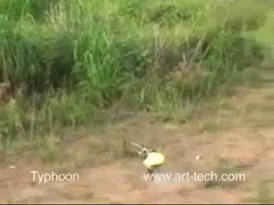 Art-Tech 11062 Large Typhoon 4 CH 23" RC Helicopter 2.4Ghz