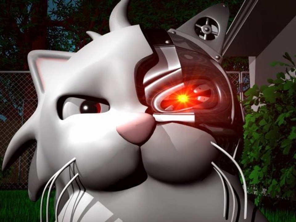 Andréas & Nicolas - Elle change la K7 dans la tête du chat