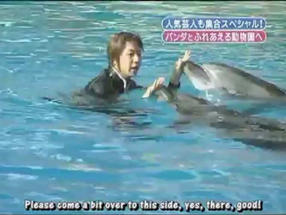 [EE] TSD SP [2008.12.27] - dolphins
