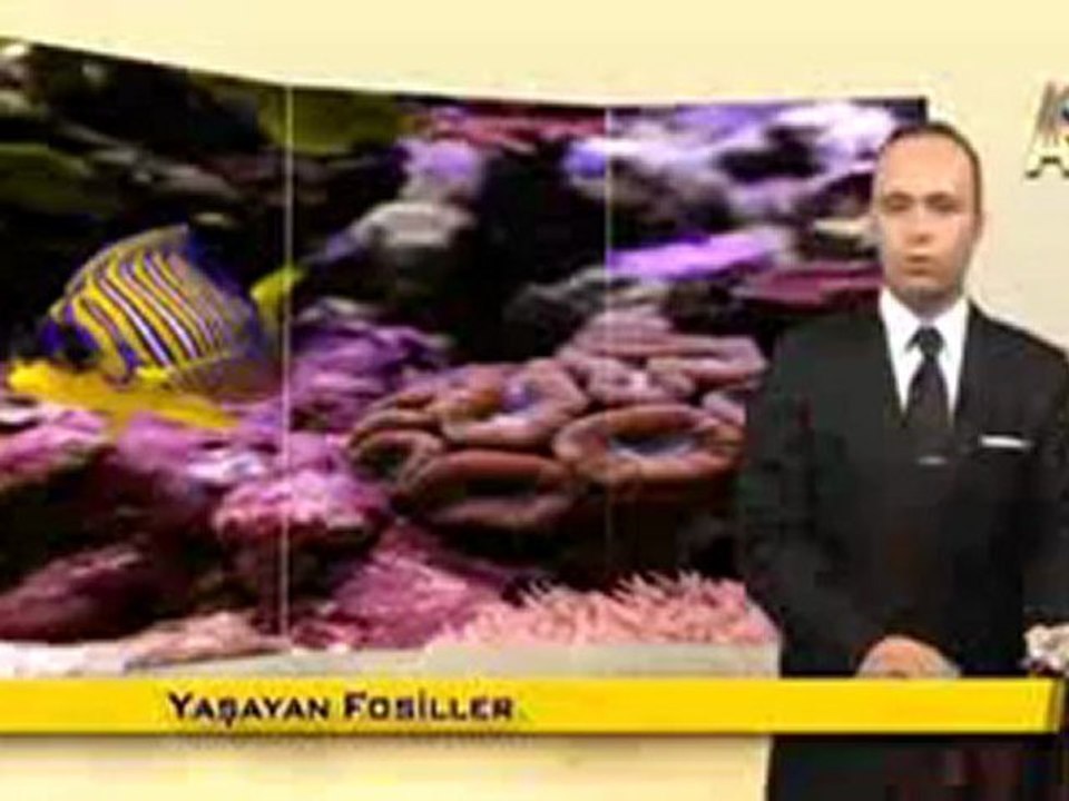 MİLYONLARCA YILDIR DEĞİŞMEYEN MERCANLAR