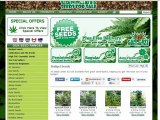 trusted supplier of the highest QUALITY marijuana seeds