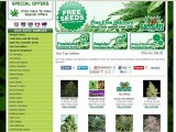 buying cannabis seeds online is now SIMPLE