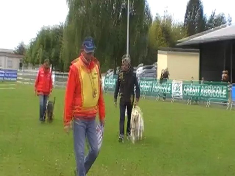 Caudry 2012 Abscence en Groupe (Juge Mr Bergevin)