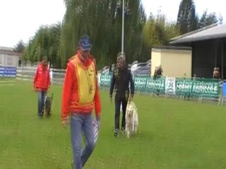 Caudry 2012 Abscence en Groupe (Juge Mr Bergevin)