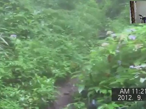 続緑の地獄　富士登山再放送120924