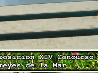Exposición del XIV Concurso de Semeyes de la Mar