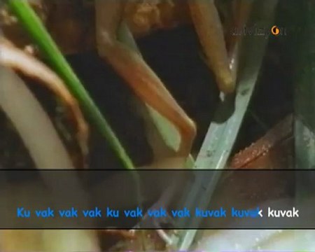 Enstrümantal - Küçük Kurbağa (Karaoke Versiyon)