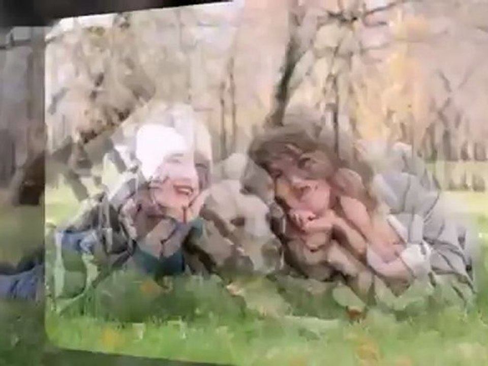 Pet Trust Services in Hartford and Westport, CT