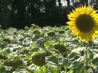 LE BONHEUR C'EST... I Webisode #04