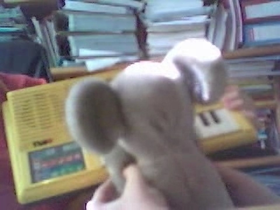 grumlie pianiste