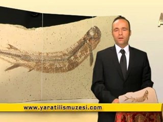 MİLYONLARCA YILDIR DEĞİŞMEYEN KURT RİNGA BALIĞI