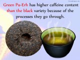 Benefits of Pu-Erh Tea on Health