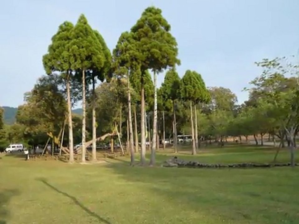 オフコース　緑の日々