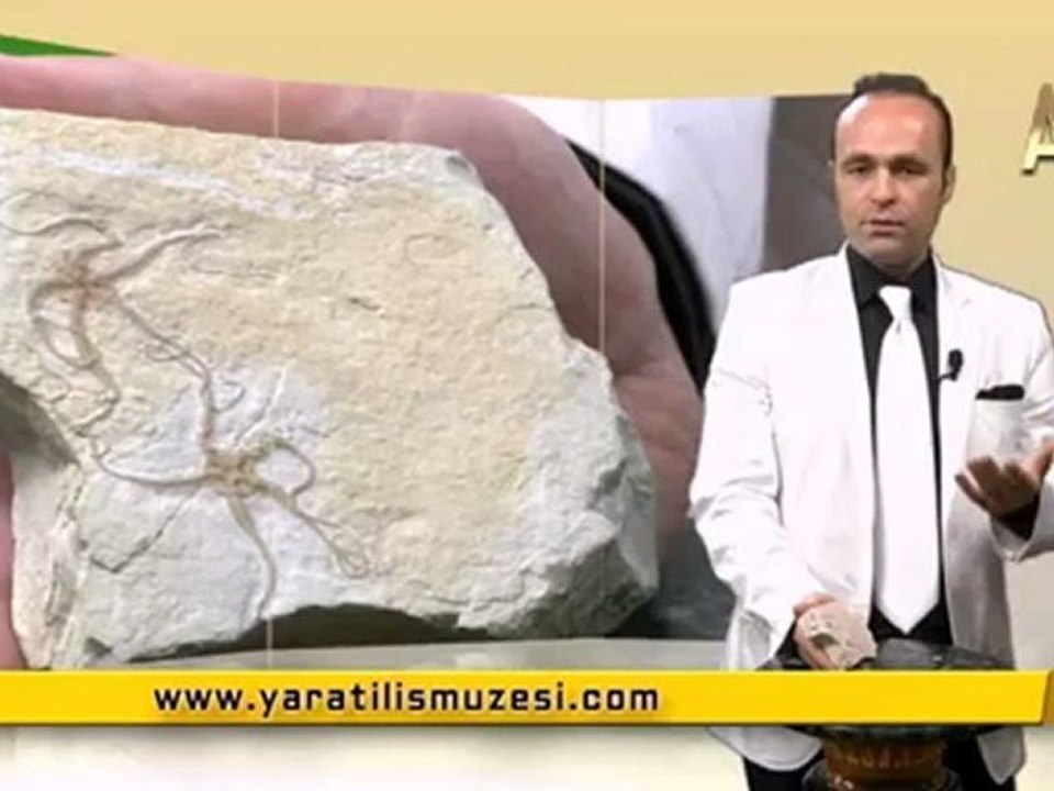 MİLYONLARCA YILDIZ DEĞİŞMEYEN YILAN YILDIZI