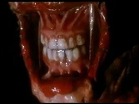 ( Neophyte Tha Playah ft. MC Alee - Tijdbom )