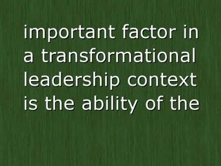 Leaders In The Organization - Accountants