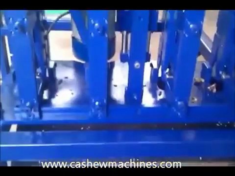 Cashew Nuts Processing from Gayathri Industries