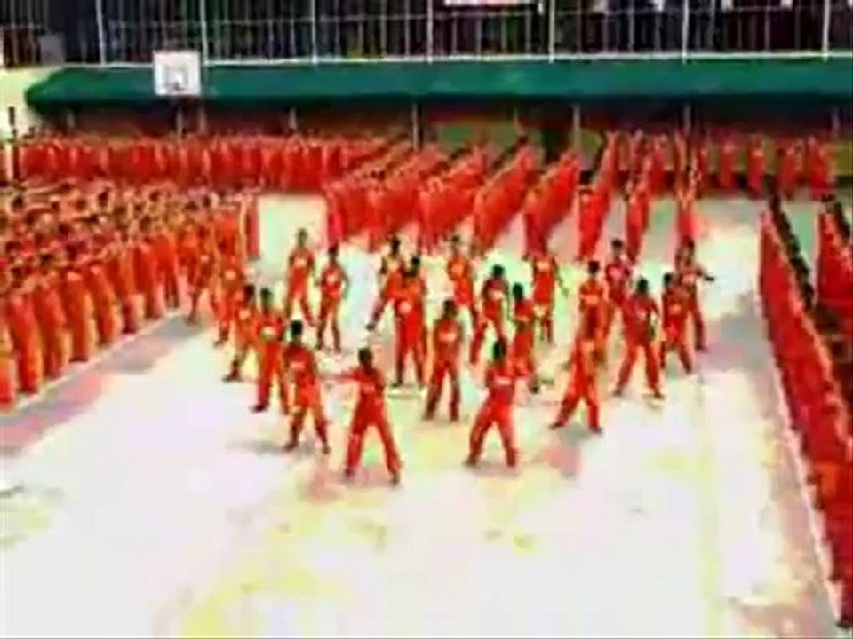 mon tu(tu)be à moi