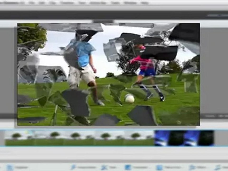 Adobe Premiere Elements 11 OVERVIEW