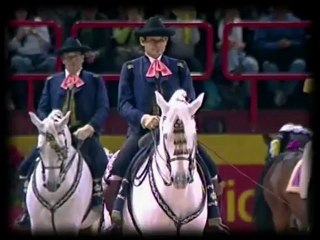 La Culturelle - 4 Ecoles d'Art Equestre - 26 Septembre 2012