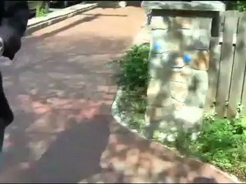 Freedom Pack by Justin Miller (Gimmick and DVD) - Magic Trick