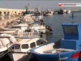 TG 01.10.12 Mola di Bari: sala la rabbia dei pescatori