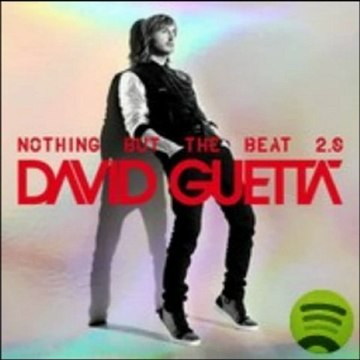 David Guetta feat Ne-Yo and Akon - Play Hard + lien de téléchargement