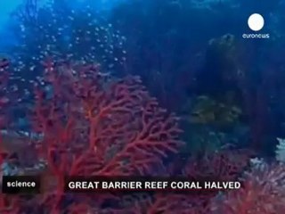 Australia, la barriera corallina in pericolo