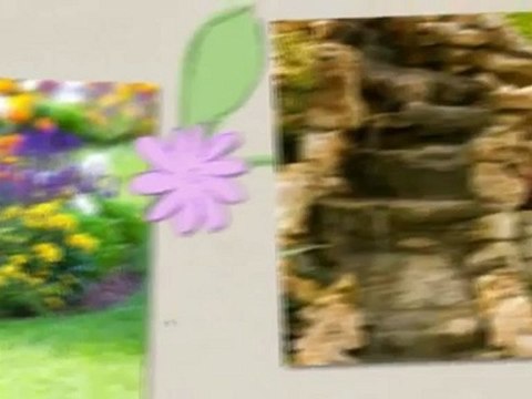 Erik's Sod & Landscaping Inc (863) 381-2172