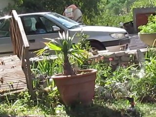 le jardin aut 2012 021