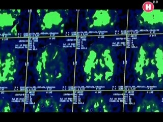 Тайны мозга. Самоконтроль