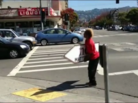 Berkeley San Francisco Bay Area Mattress Store, Nest Bedding. Mattress sale today