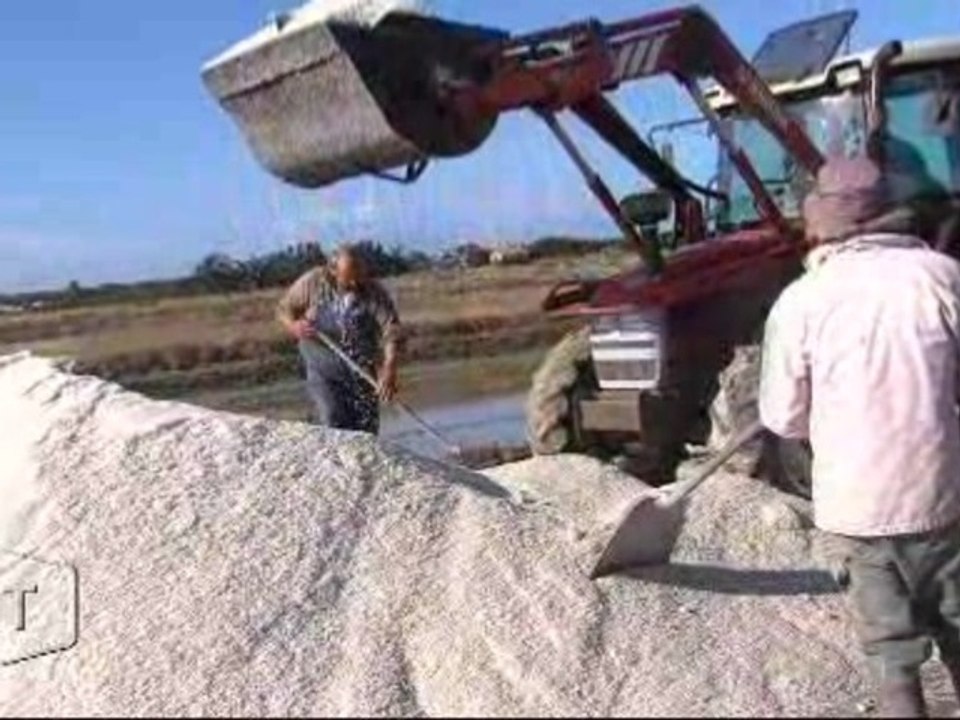 Les sauniers soulagés : la récolte est bonne (Vendée)
